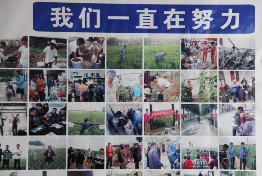 半岛在线体育国内制剂2016年度第一次总结暨市场启动会议隆重召开