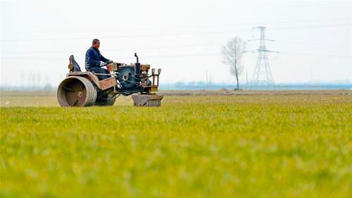 China&#39s agricultural material supply sufficient for spring farming